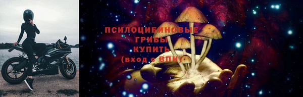 ешки Краснотурьинск