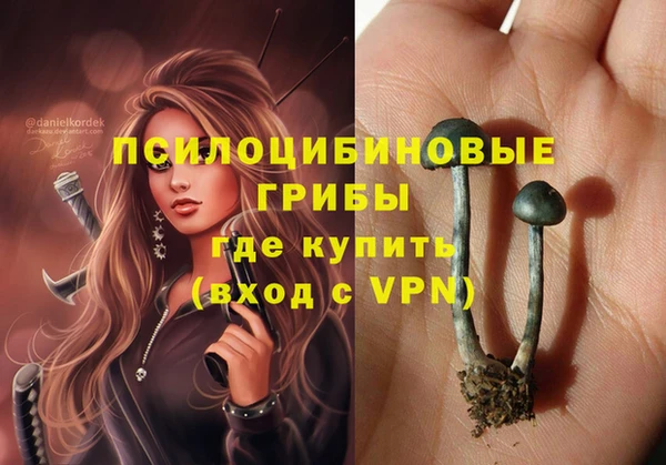 бутират Краснослободск