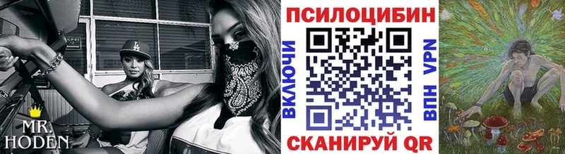 Галлюциногенные грибы Magic Shrooms  Купить  Жуковский 